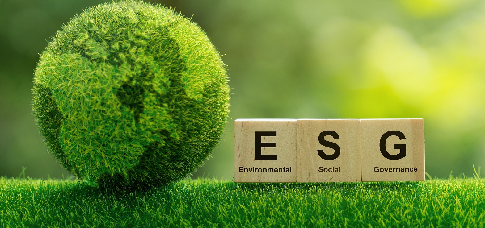 Why is ESG important? Why should companies and investors care?